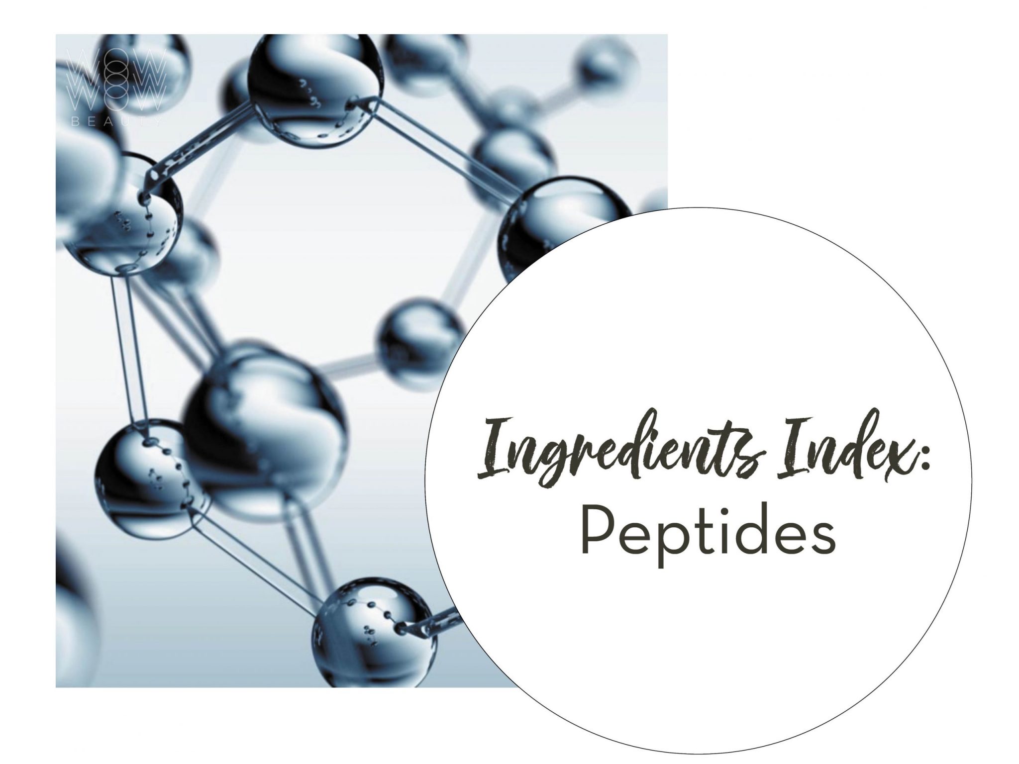 peptides internal image