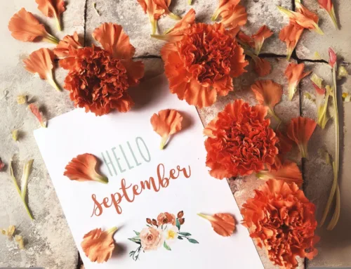 Autumn: The Season of Senses