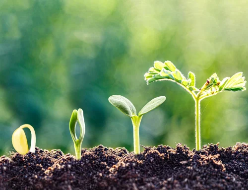 Embody Your Growth