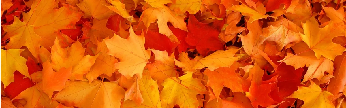 seasons of change